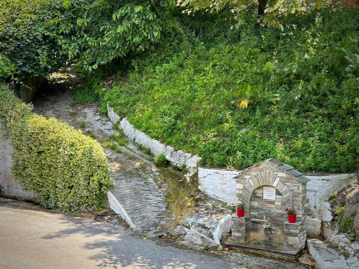 فندق Λευκή Καμέλια Anilio Pelion المظهر الخارجي الصورة
