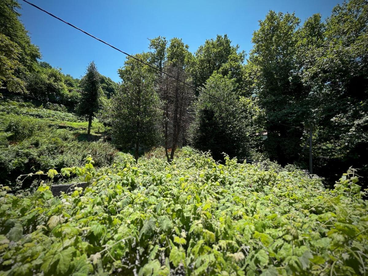 فندق Λευκή Καμέλια Anilio Pelion المظهر الخارجي الصورة