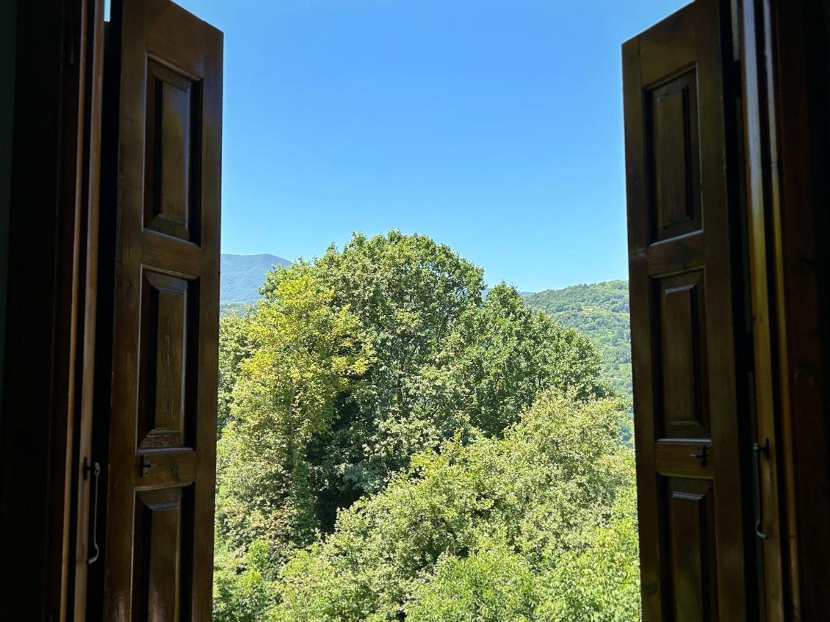 فندق Λευκή Καμέλια Anilio Pelion المظهر الخارجي الصورة