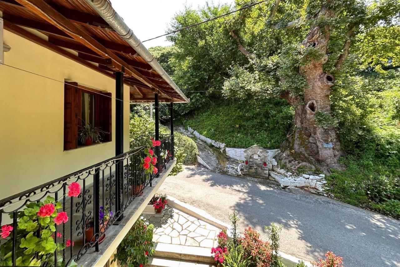 فندق Λευκή Καμέλια Anilio Pelion المظهر الخارجي الصورة