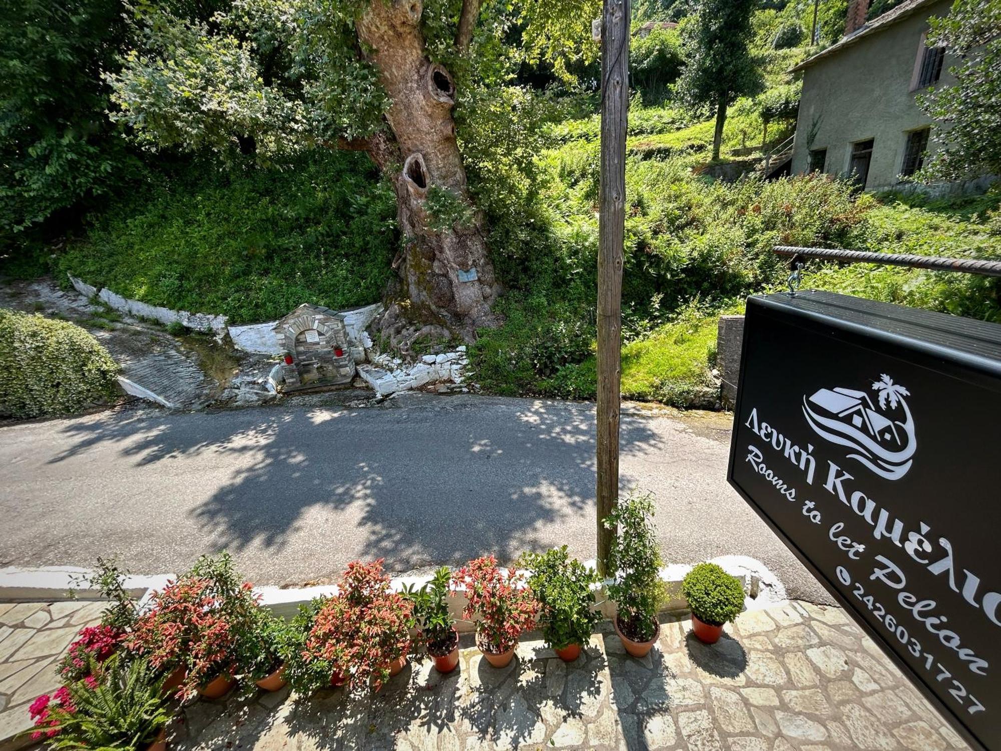 فندق Λευκή Καμέλια Anilio Pelion المظهر الخارجي الصورة