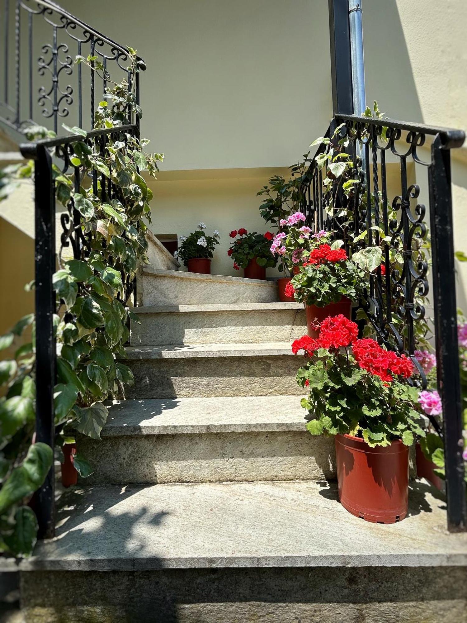 فندق Λευκή Καμέλια Anilio Pelion المظهر الخارجي الصورة