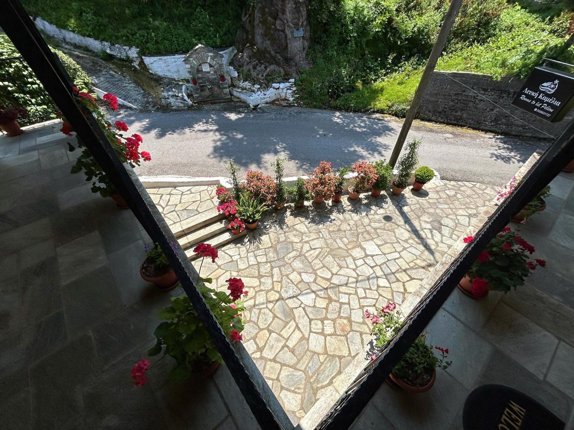 فندق Λευκή Καμέλια Anilio Pelion المظهر الخارجي الصورة
